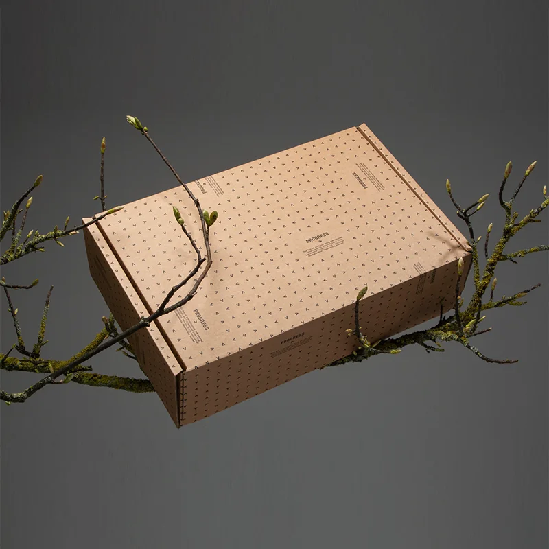 Eco Friendly Mailer Boxes